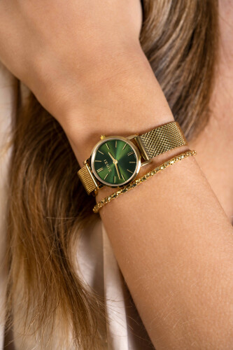 ZINZI Retro Mini Watch Green Dial Gold Colored Case and Stainless Steel Mesh Band 24mm  ZIW1835